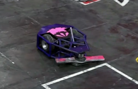 Competitor "劍齒虎" at Clash Bots
